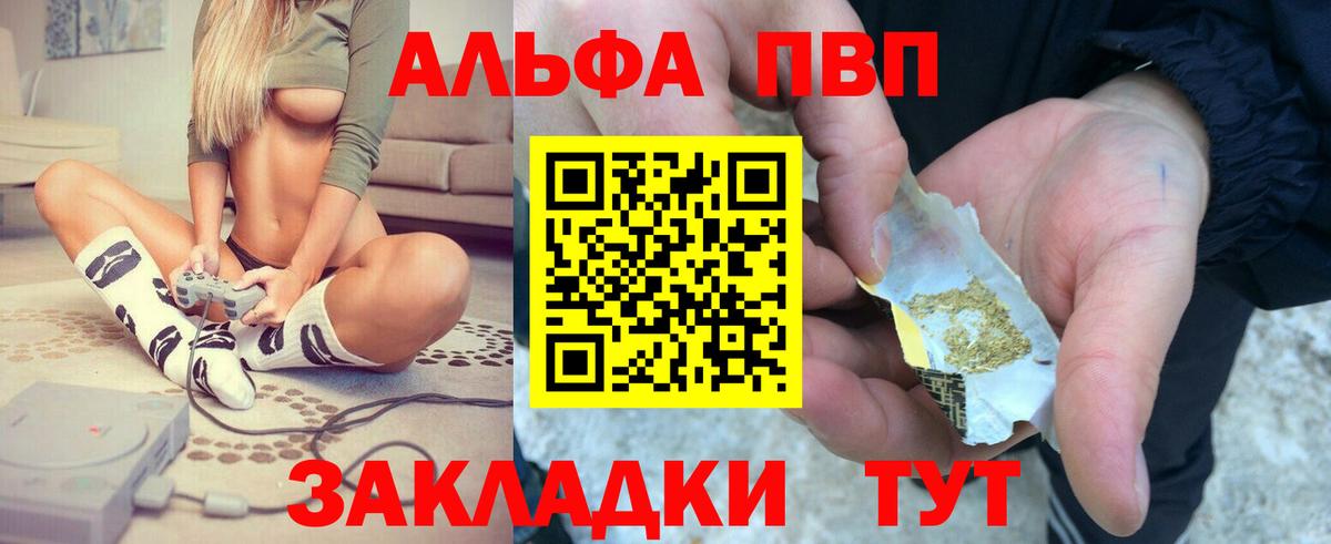 МЕФ Кингисепп