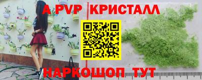 спиды Бийск